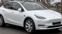 ModelY1