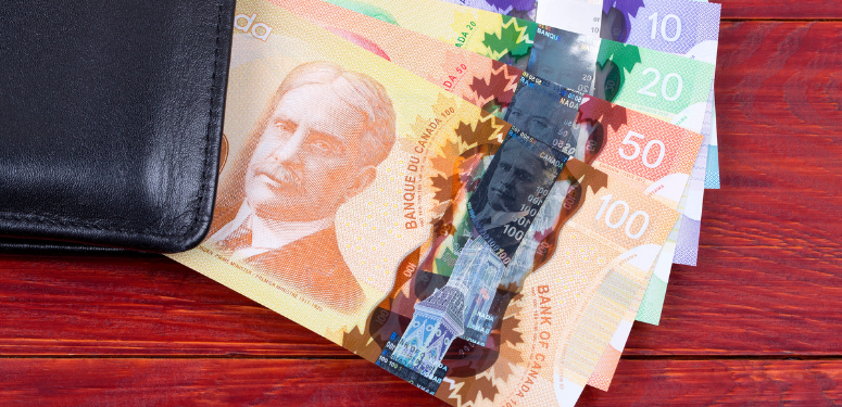 cash (1)