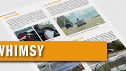 NIBS_sitegraphicsWhimsy
